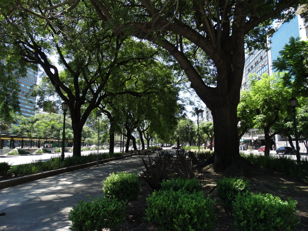 Avenida 9 Julio - la plus large de la planète 140 mètres x 4 kilomètres de long.
